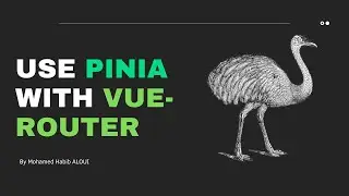 Use Pinia with vue-router 🍍