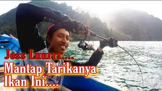 Strike Ikan ini Sampai Kualahan || Tenaganya Gak Habis- Habis... || Mancing Mania Pantai Prigi