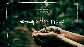 The 40-Day Prosperity Plan- John Randolph Price