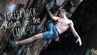 Forest Rock: Return of the Link-up