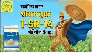 Shriram Super 1 SR 14 Gehun Ki Kheti | 20% ज़्यादा पैदावार
