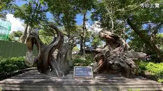 20251009羅東林業文化園區