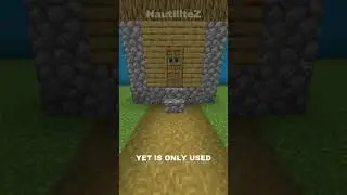 WHAT'S With The GLISTENING MELON In MINECRAFT?