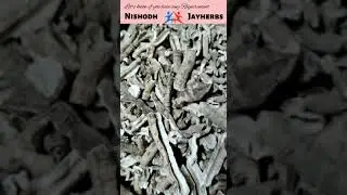 Operculina turpethum || Nisoth || Nishodh Chela Hua || Nishoth || #jayherbs