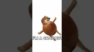 i'm a coconut