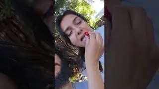 Bing Cherries 2025