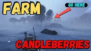 Arc Raiders: Как добывать ягоды Candleberries