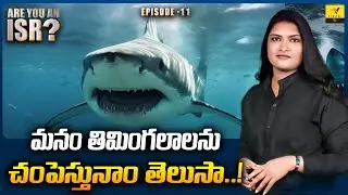 How Plastic Killing Marine Animals | Impact Of Plastic | ARE YOU AN ISR? | Vihari Tv