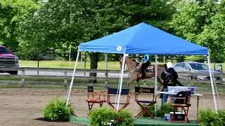 Nic and Frosty in Class 90 - Ladies Western Pleasure 18+ @ RWB on May 24, 2025 @ Canfield Fairground