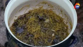 هەوارگە| لە سرووشتی جوانی واژە سیڤەر بریانییەکی بەتام درووستدەکات