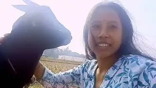 আমার খেয়ে দেয়ে কোনো কাজ নেই ।। তাই আমি সারাদিন বসে বসে থাকি#villagelife#vlog#viral #itsyourjoba