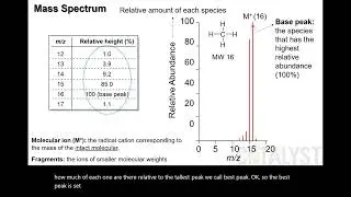 UCF CHM2211 Chapter 14.23 - A Mass Spectrum