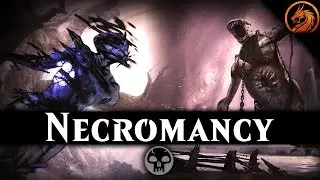 💀 THIS IS BRUTAL! Mono Black Necro | MTG Modern Deck