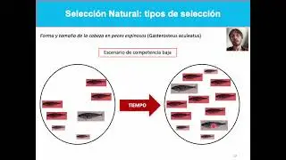 Unidad 8 (2025) -  Evolución Clase 2 de 2