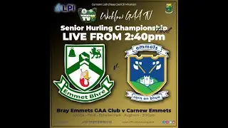SHC Final - Bray Emmets v Carnew Emmets