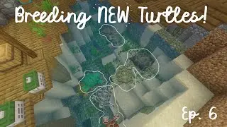Breeding New Minecraft Turtles!