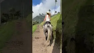 #cocora #horseriding #horsegirl #valley #colombia #colombie #travelvlogs #quechimba #voyage