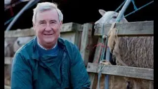 The Yorkshire Vet's Peter Wright on ending 40-year career 'Do I just bow out?'