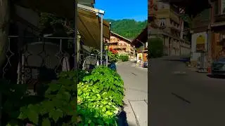 #Switzerland  #SwissVibes  #VisitSwitzerland  #SwissAlps  #NatureLovers  #TravelGoals