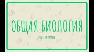 Общая биология. Цитология. Строение клетки часть 1