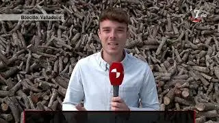 VENTA DE LE&Ntilde;A | Sube el precio de la le&ntilde;a y baja el de los pellet