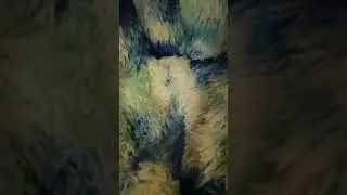 Good loop? #loop