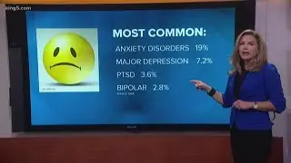 The most common types of mental illness