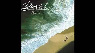 Dervish - The Swallows Tail