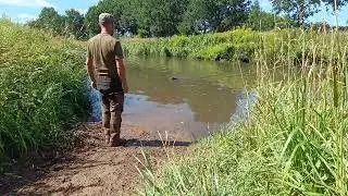 Olaf, 5 Monate (Deutsch Drahthaar), und die Wasserarbeit 2