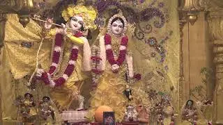 🙏🌟 Radha Gopinath Mandir Daily Live | Edison, NJ 🕉️🎶