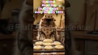 ADORABLE Cat Baking Bagels for National Bagel Day 🐱🥯