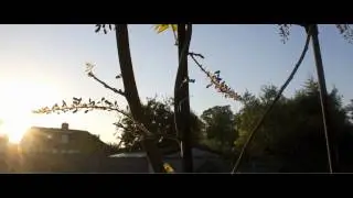 EOS 550d Time Lapse - Magic Lantern