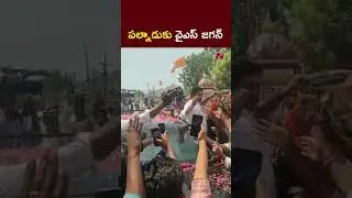 పల్నాడుకు వైఎస్ జగన్ l YS Jagan Rentapalla Tour l NTV Telugu