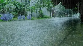 RAIN LIVE IN KERALA - HEAVY RAIN