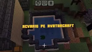 Pe AvatarCraft am făcut un acvariu pentru pești