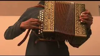 Ievan Polka Diatonic Accordion