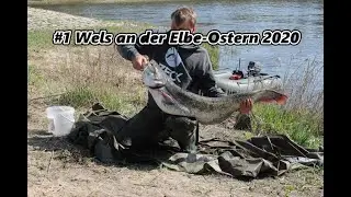 #1 Ansitz auf Wels an der Elbe Ostern 2020