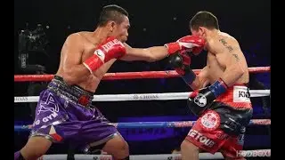 Donnie Nietes BRUTAL KNOCKOUT WIN! vs Juan Carlos Reveco