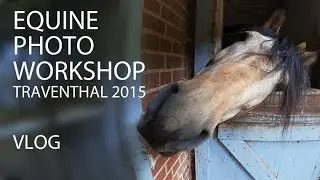 Equine Photo WORKSHOP | Making Of | VLOG
