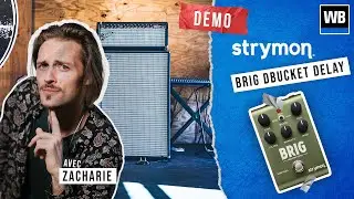 Strymon BRIG DBUCKET DELAY - Complet et authentique !