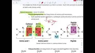 Natural polymers