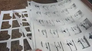 MollFlex Cut Digital Rotary Die Cutter - 100,000 nickess cartons die cut and stripped an hour