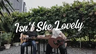 Isn't She Lovely (Guitar and Saxophone Cover) | Irfan & Louis