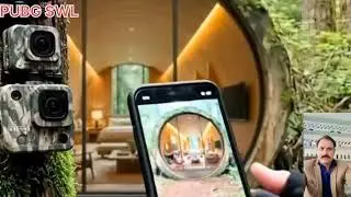 A Man Turns a Tree Into a Beautiful Wooden Home, ASMR