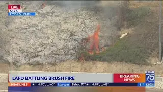 Vegetation fire in Cypress Park