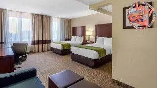 Comfort Inn St Petersburg North | St. Petersburg (FL), United States | Hotel Review ⭐