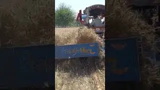 yapel machine kia batt hy 😑 😐 yi machine tu Kamal hy #agriculturallife