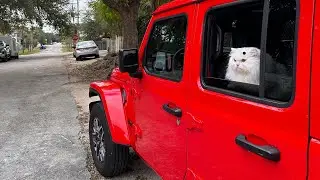 Zeep Wrangler Review in Bengali