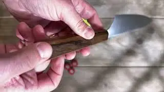 Hatsukokoro Hayabusa Aogami Super Gyuto 21 cm