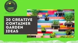 30 Creative Container Garden Ideas | Cheap Container Garden Ideas